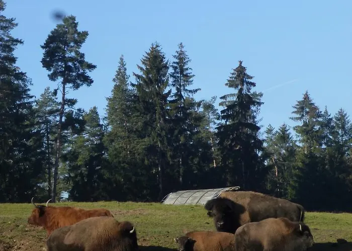 Hotelovy Sikland Zvole (Vysocina)